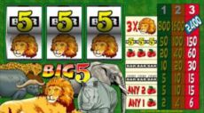 Big 5